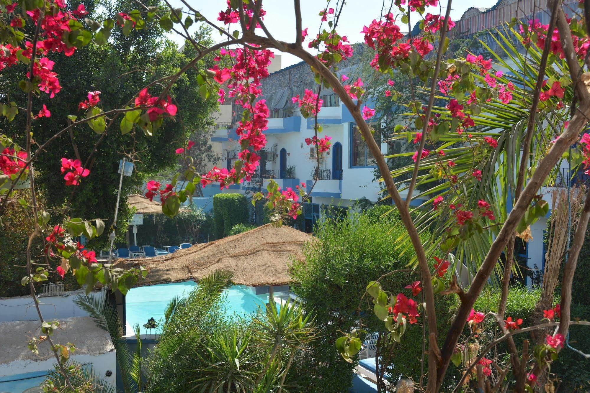 El Gezira Hotel Луксор Экстерьер фото